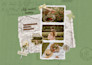expert canva designer eye catching templates and graphics